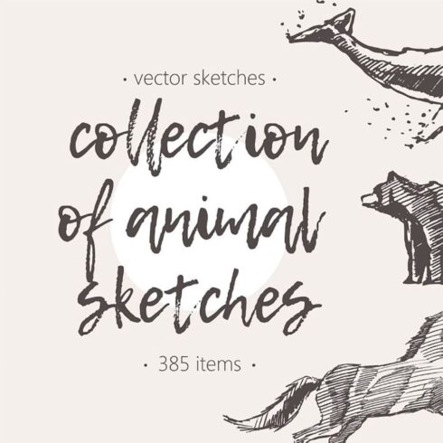 Huge collection of animals drawings, main picture.