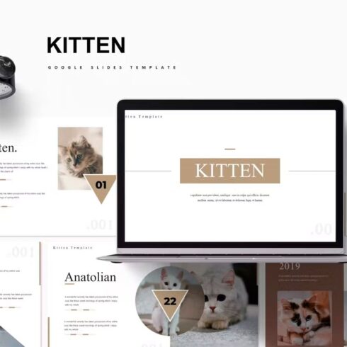 Kitten google slides template, main picture.