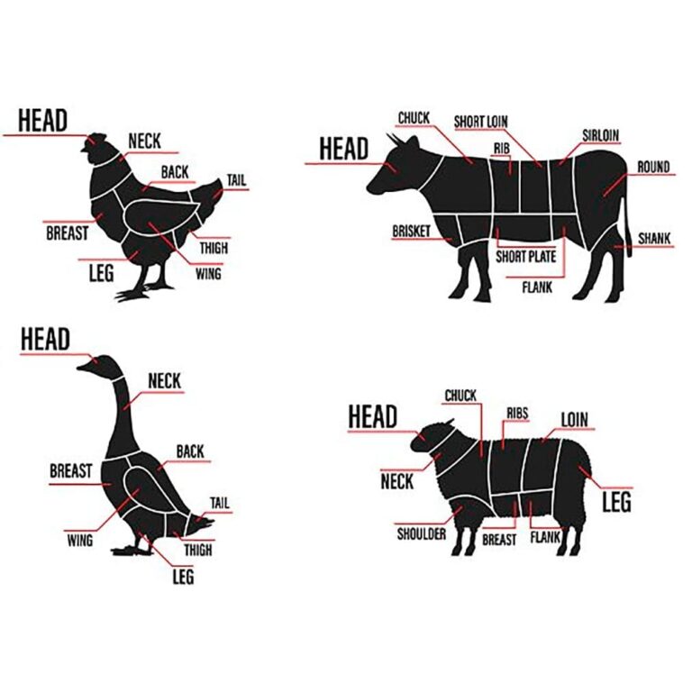 Meat Cuts Set. Diagrams Scheme – MasterBundles