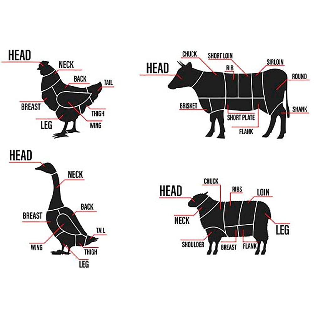 Meat cuts set. diagrams scheme, main picture.