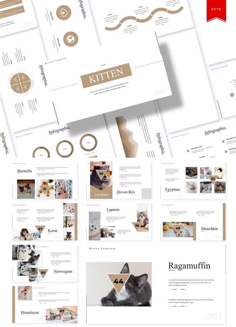 Powerpoint Kitten Kitten Powerpoint Template – MasterBundles