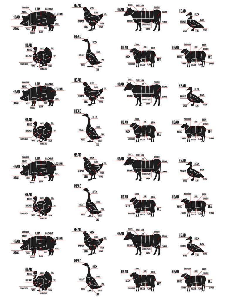 Meat Cuts Set. Diagrams Scheme – MasterBundles