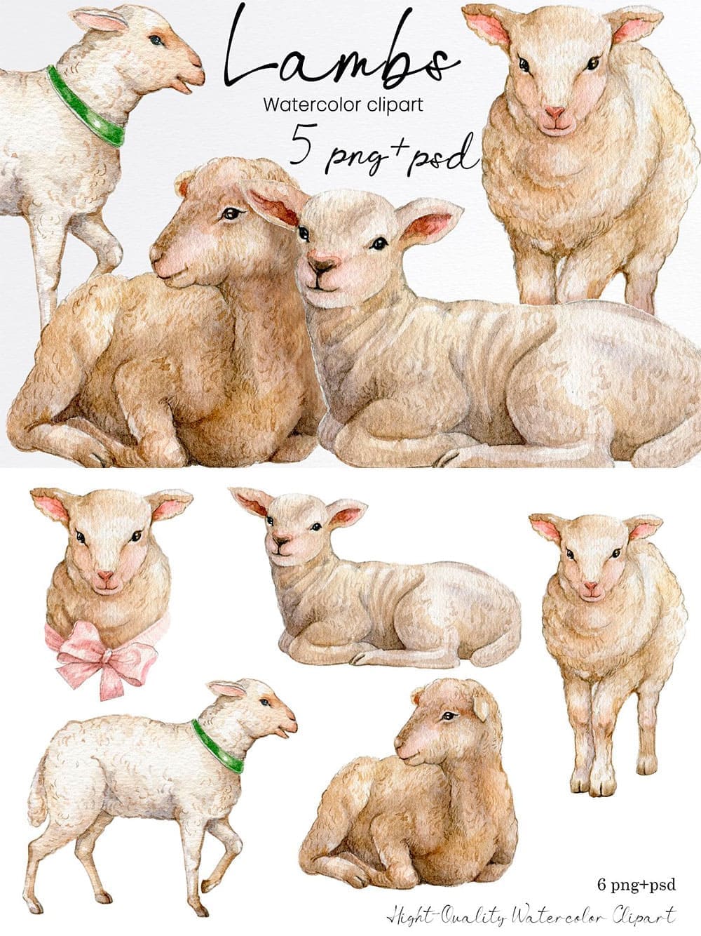 Watercolor lamb sheep clipart, picture for pinterest.