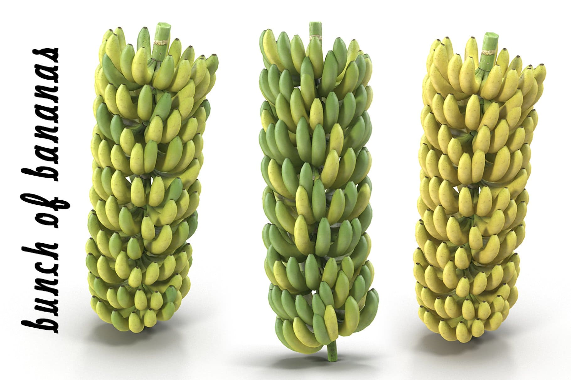 Three bunches of bananas on a white background.