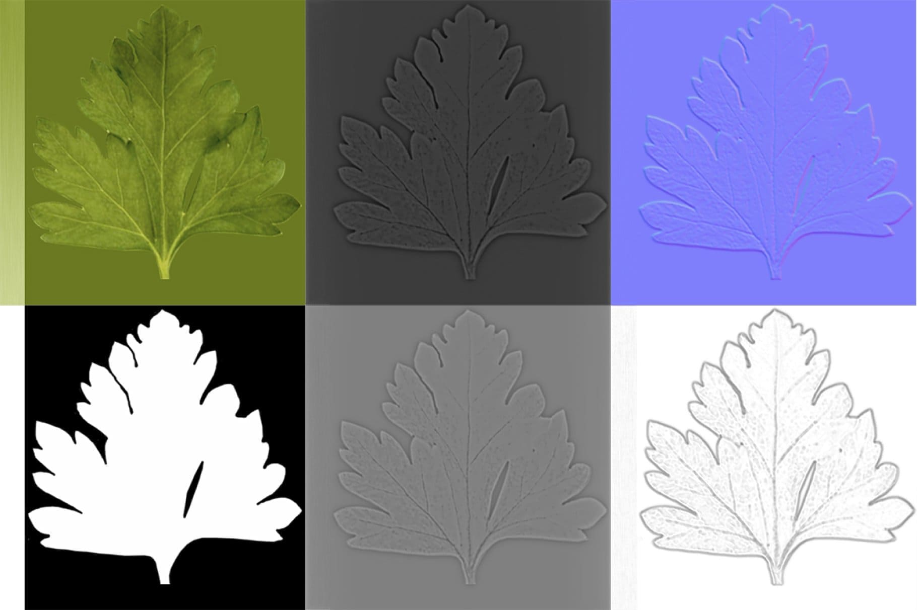 Celery leaves in various painted squares.