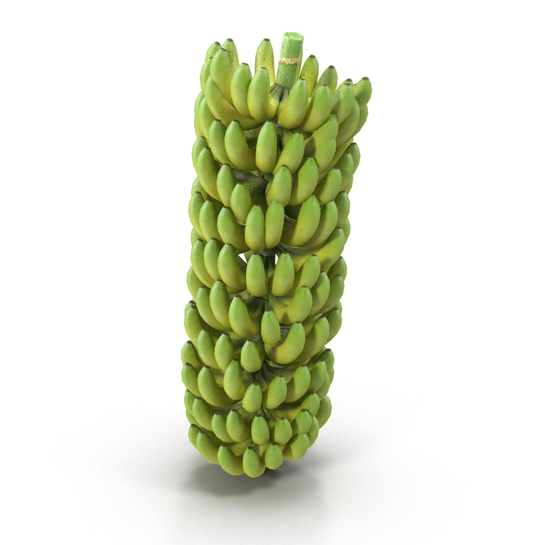 Realistic 3D model of bunch of green bananas.