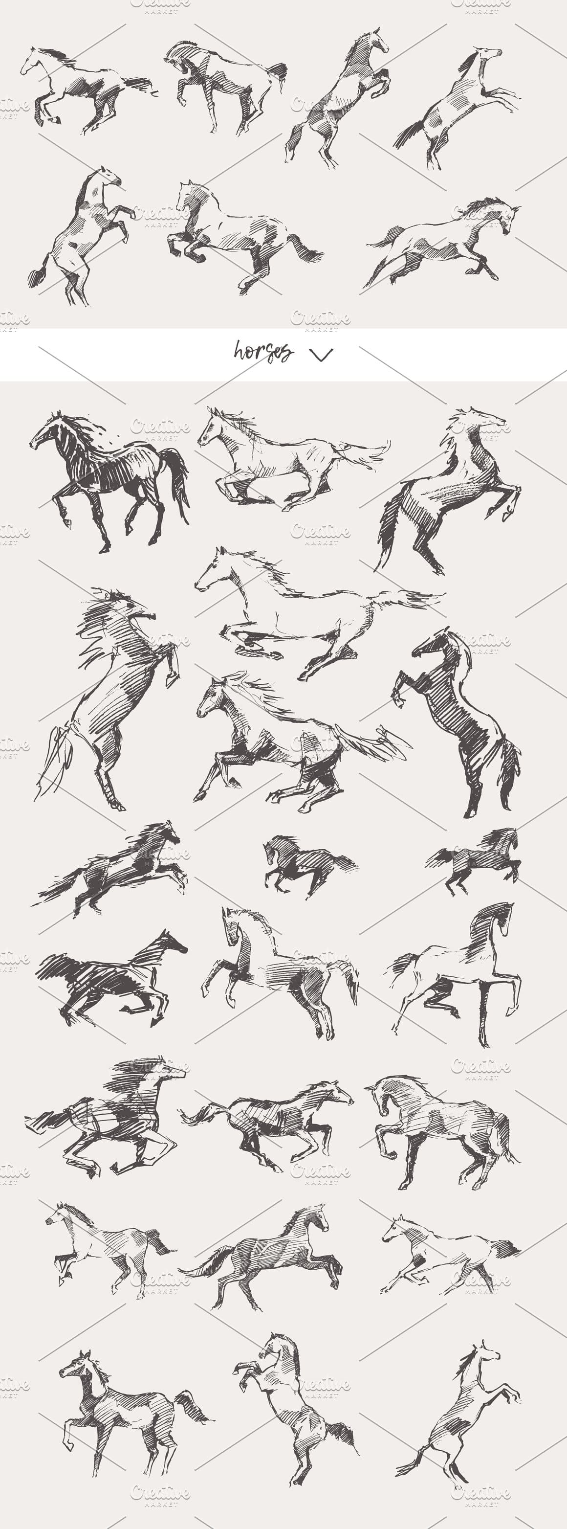 Huge Collection of Animals Drawings – MasterBundles