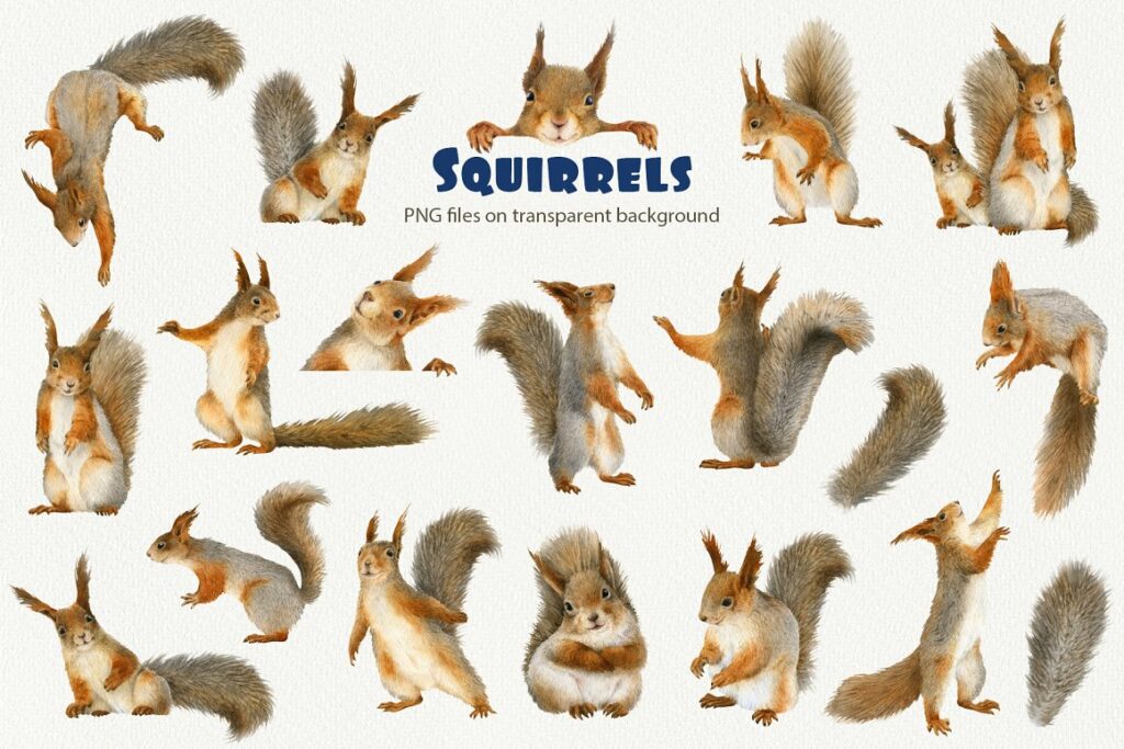 Winter SquirrelLand Watercolor Set – MasterBundles