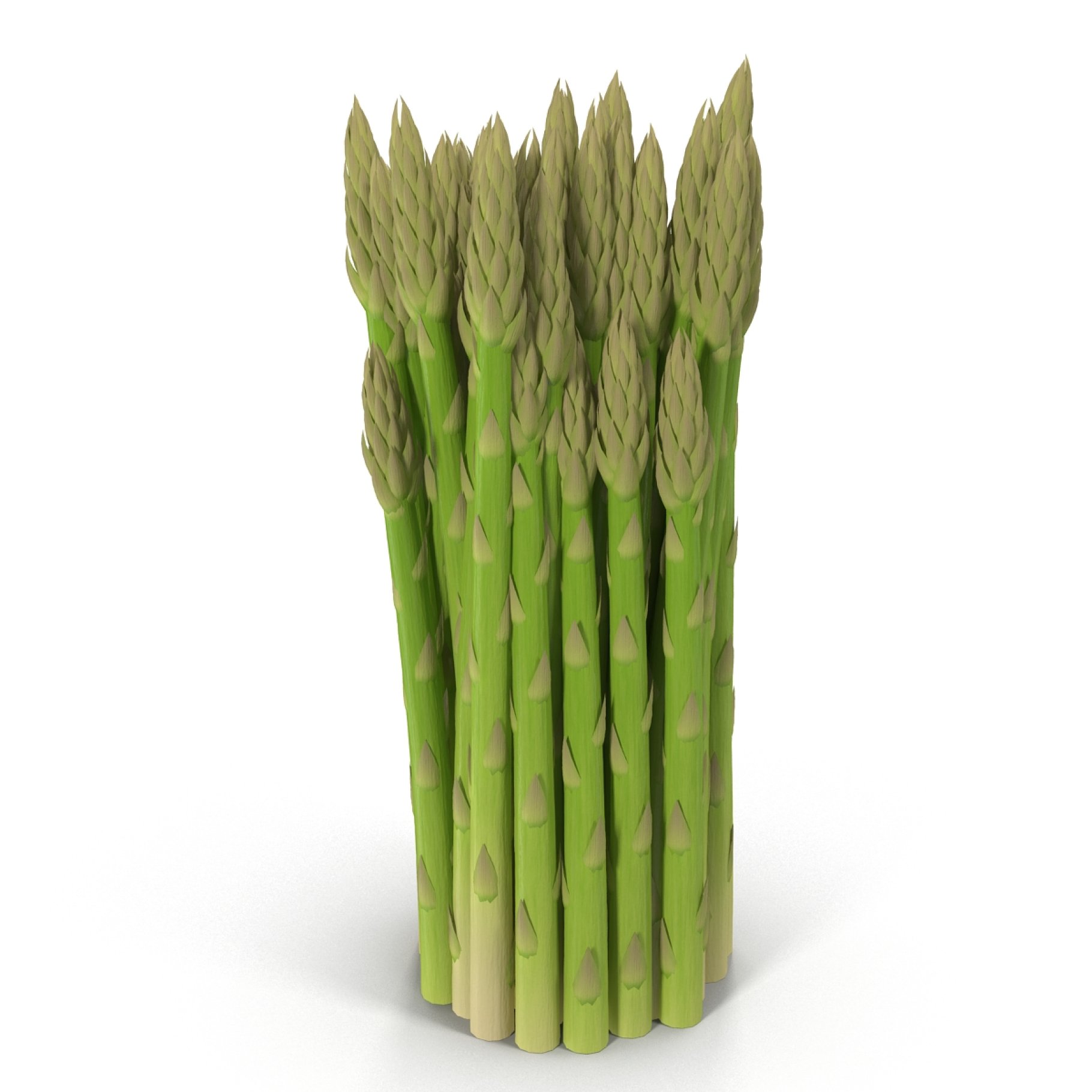 Different types of asparagus and others.