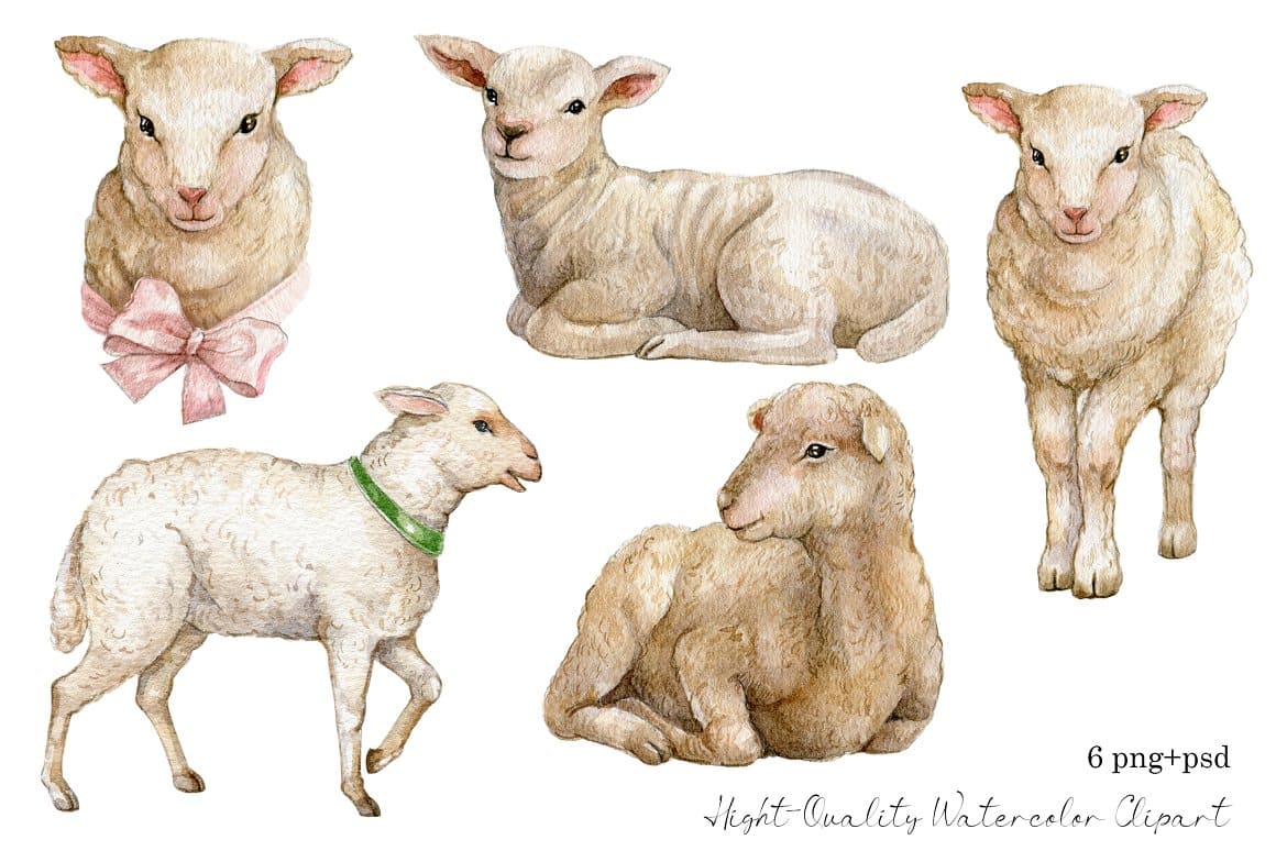 High quality watercolor lambs clipart.