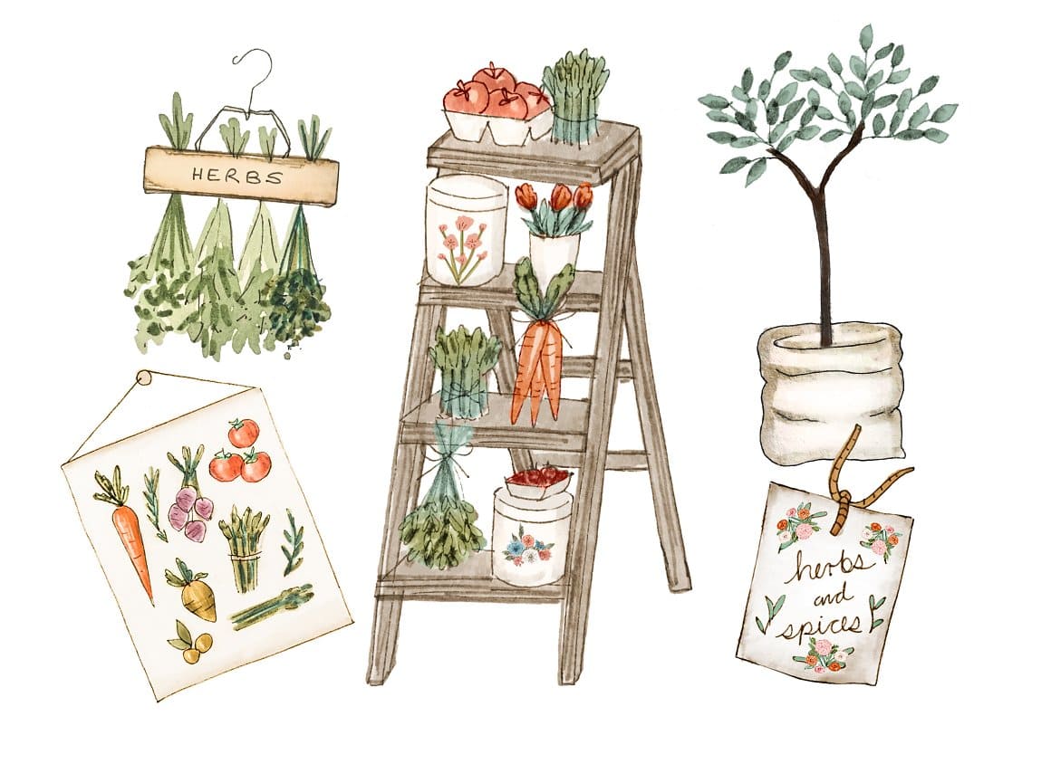 A tree is growing in a white bag, there are carrots and other greens painted in watercolor on the shelf.