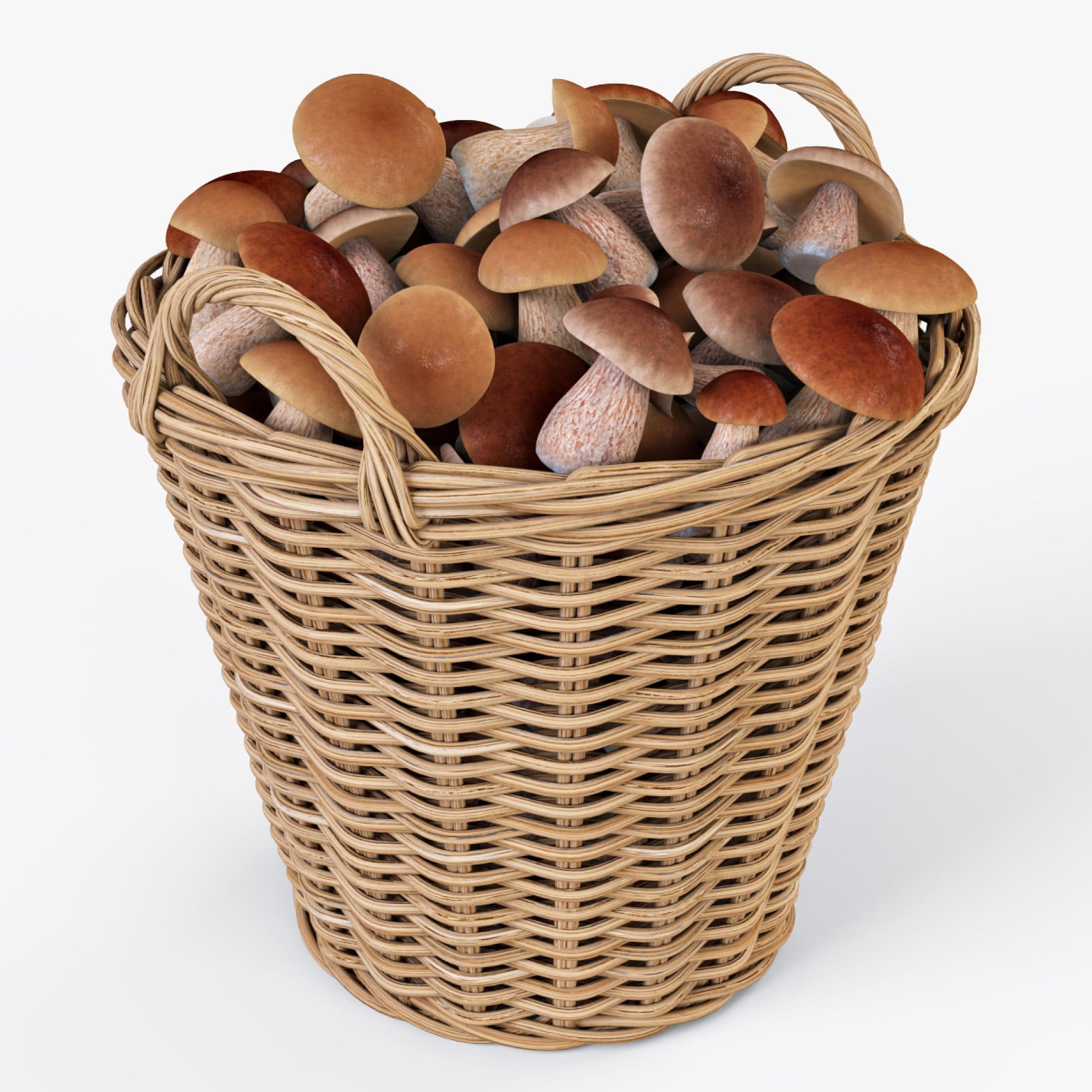 3D model basket with mushrooms close up.