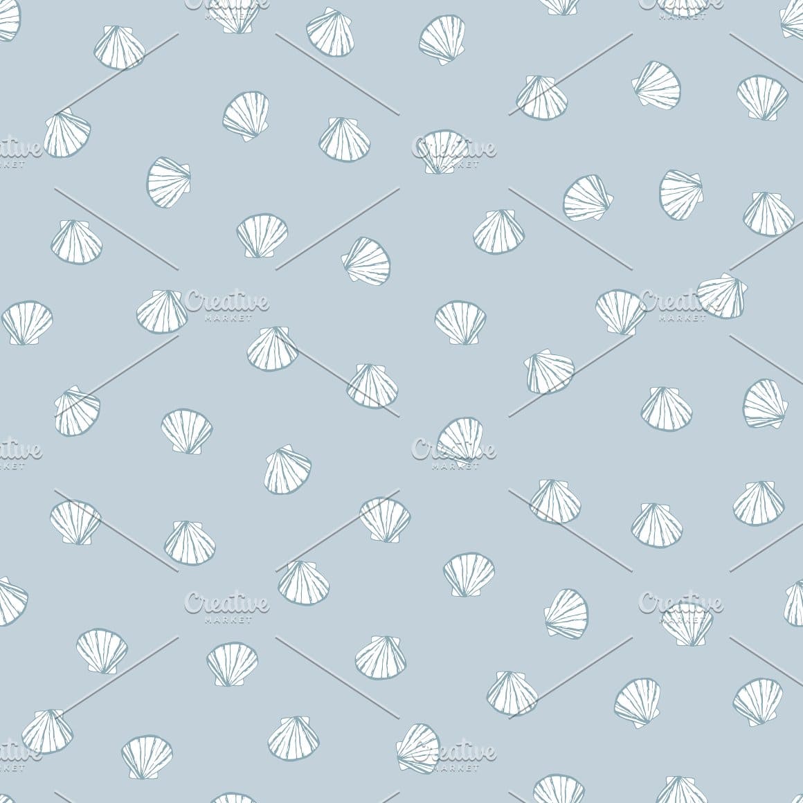 White shells on a light blue background.
