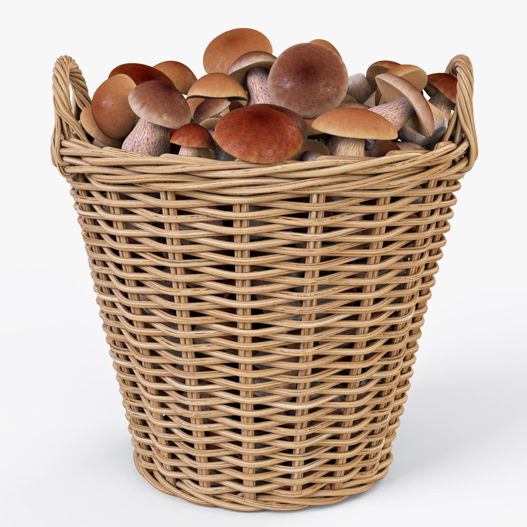 A basket with mushrooms from a light vine.