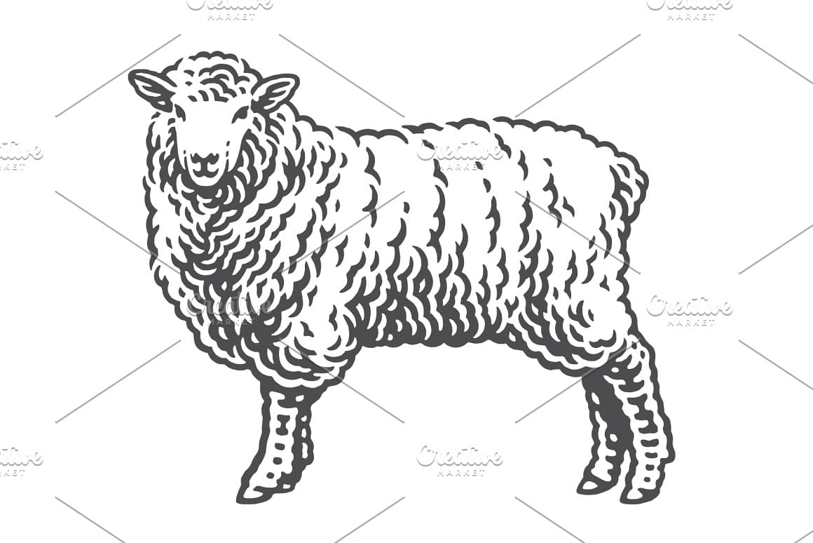 A sheep with wavy wool is drawn in black.