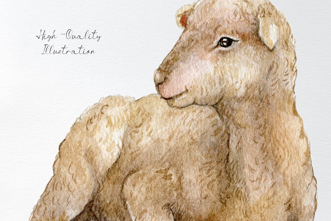 Watercolor image of a sheep with white and beige wool.