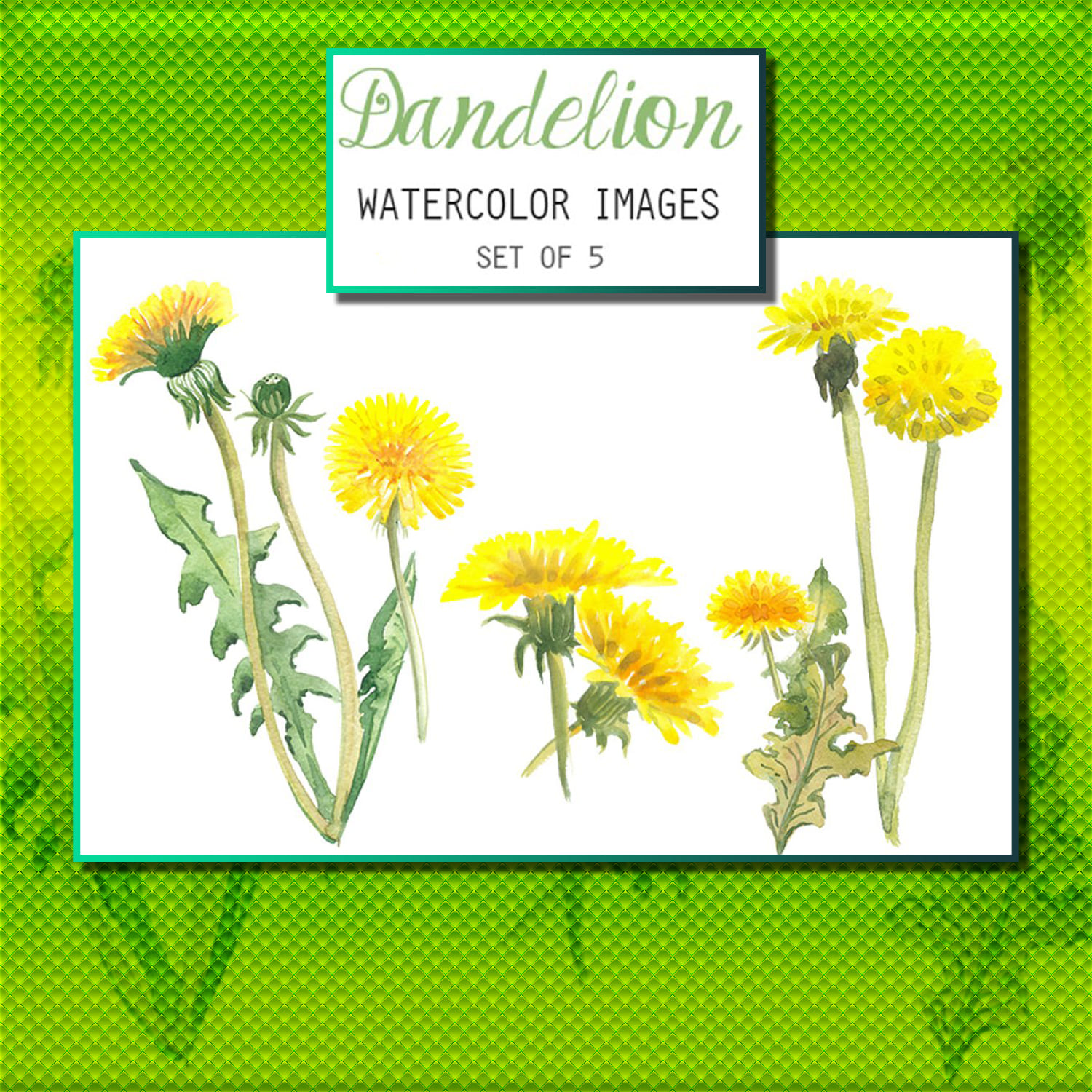 Watercolor Dandelion Clipart, main picture.