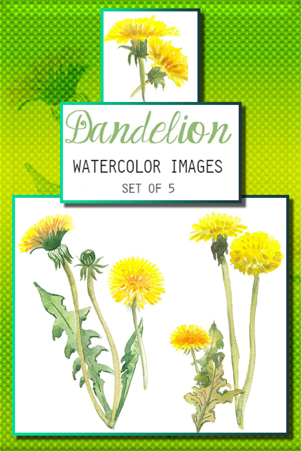 Watercolor Dandelion Clipart, picture for pinterest.