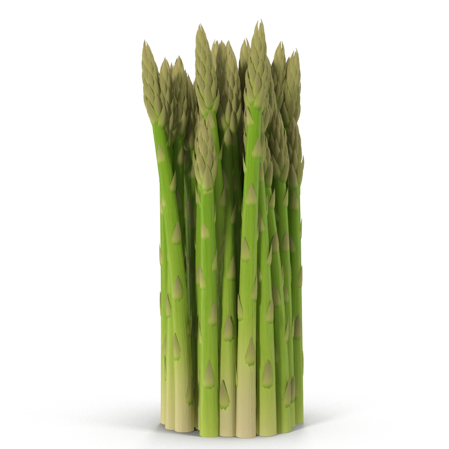 A bunch of asparagus.