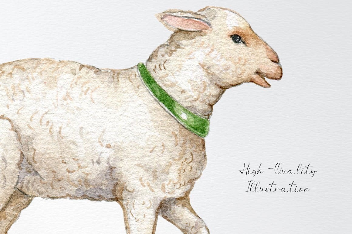 A white sheep with a green collar is painted in watercolor.