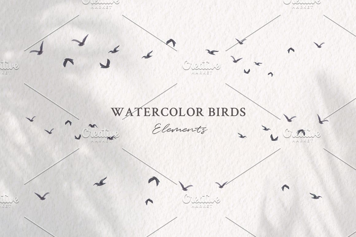 Elements of watercolor seabirds.