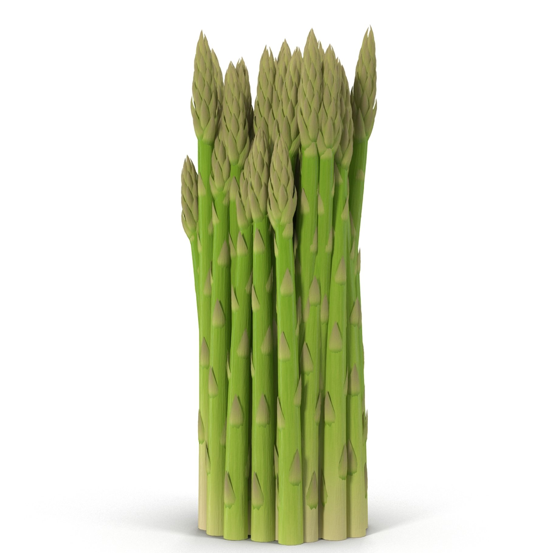 Standing asparagus image.