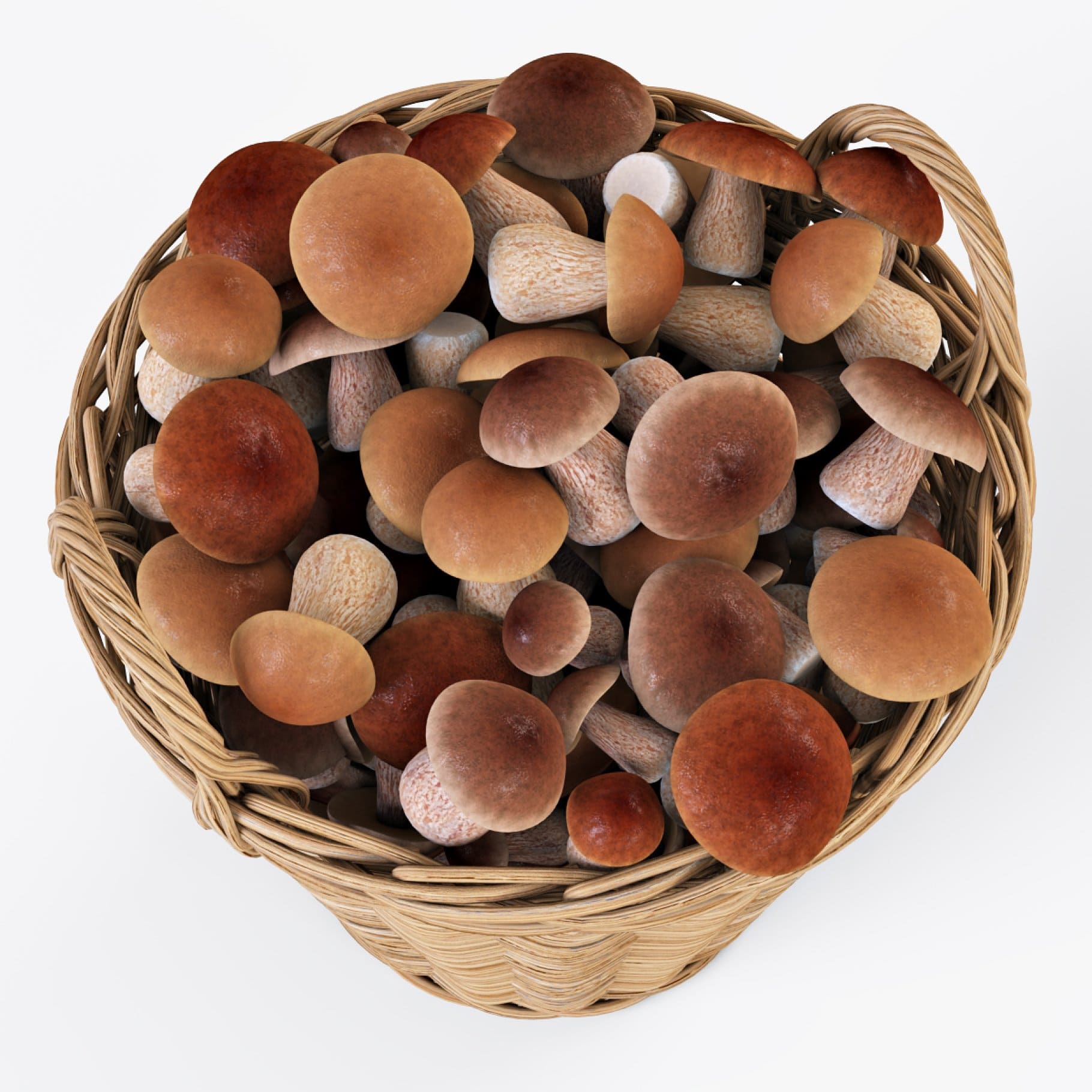 Mushrooms of different sizes in a basket.
