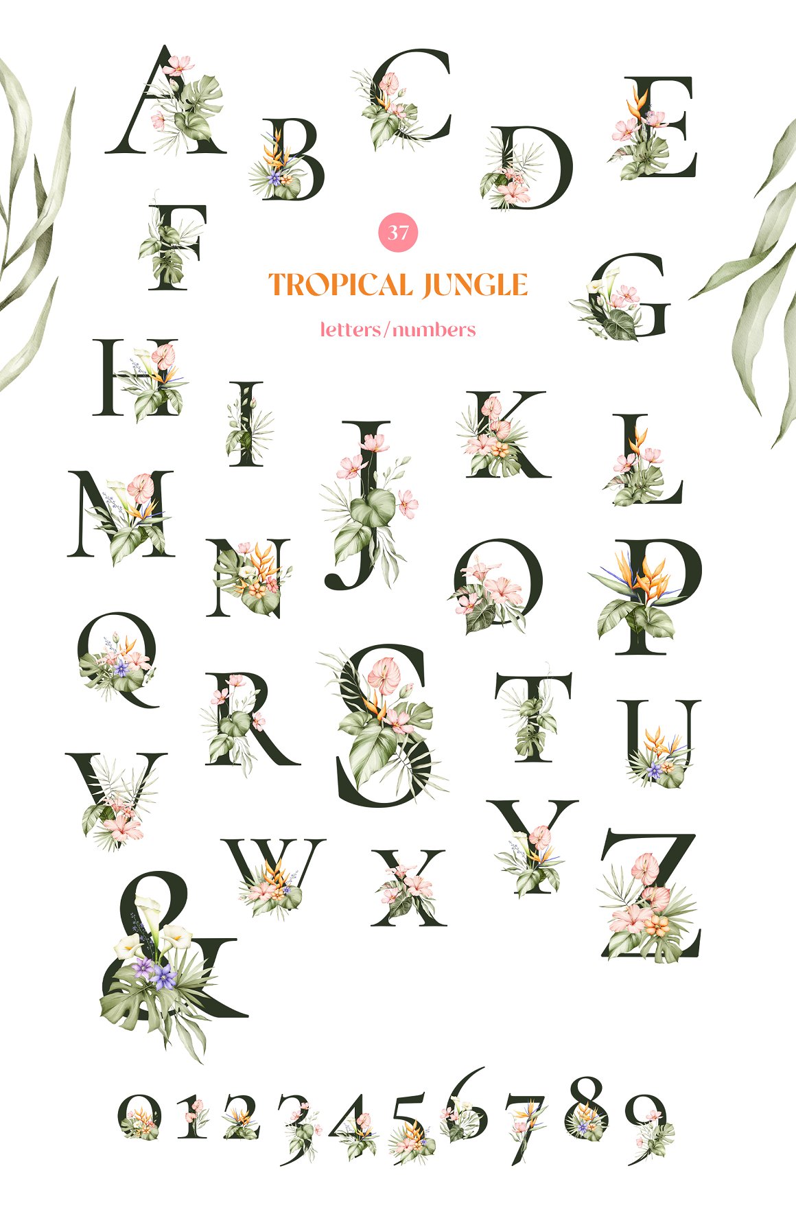 Alphabet of images with plants.