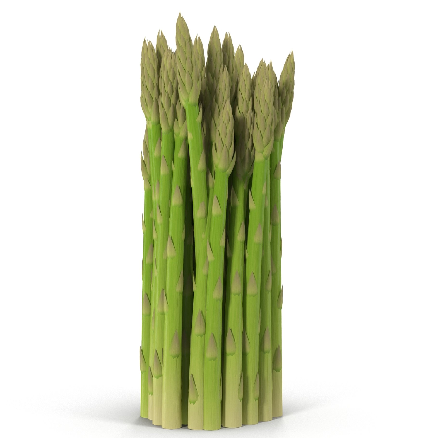 Green asparagus.