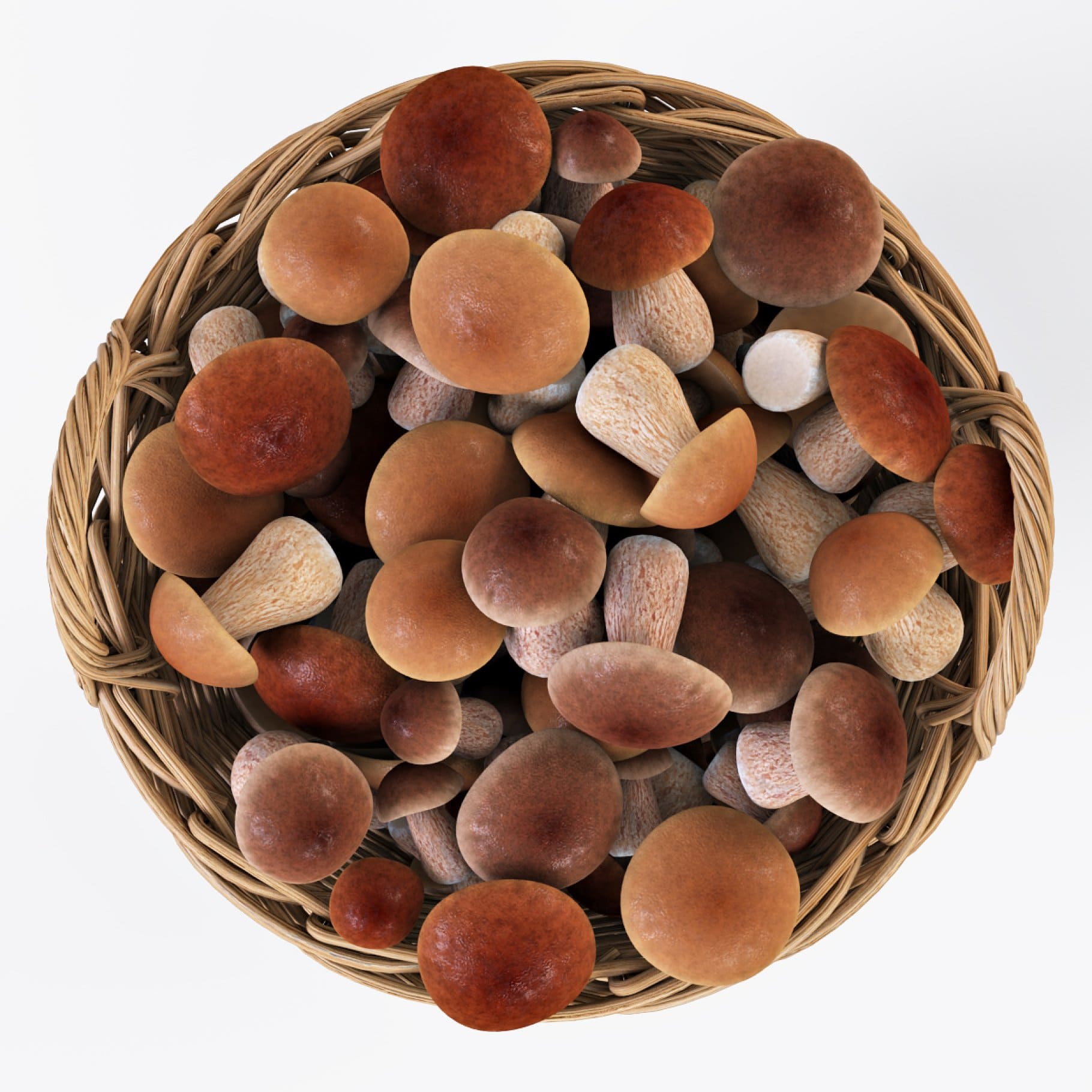 Mushrooms of fabulous beauty in baskets.