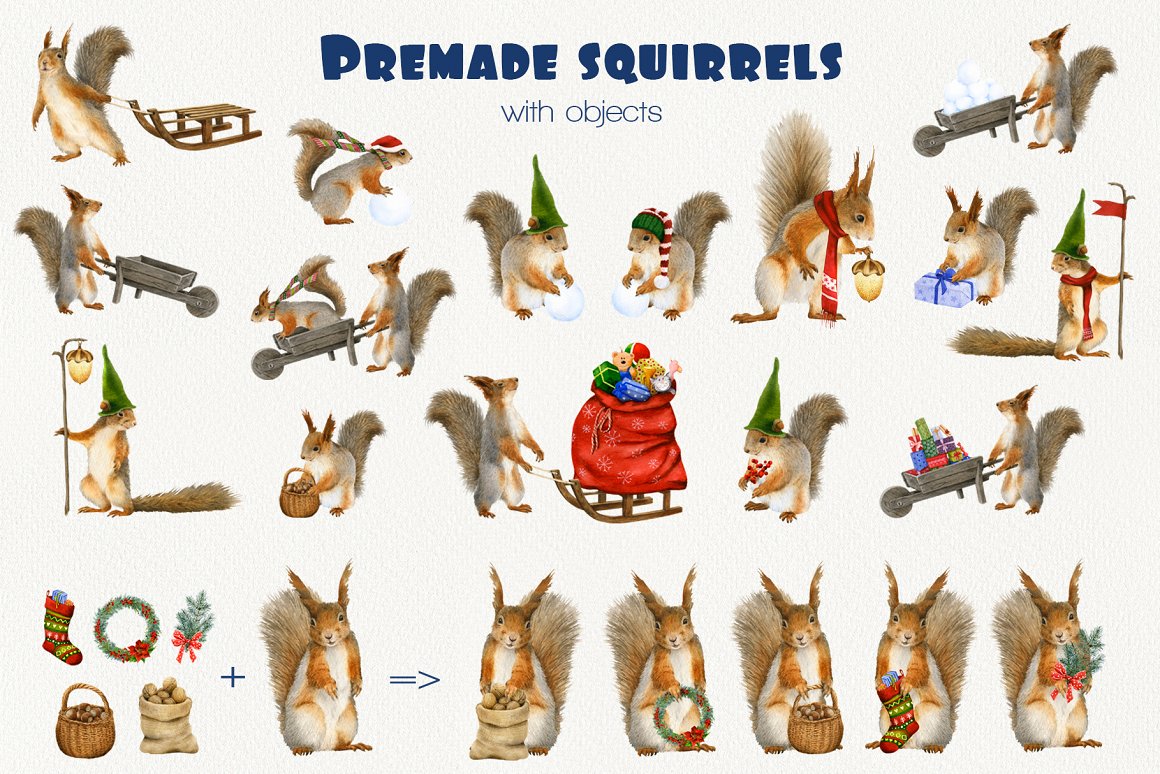 Images with squirrels and more.