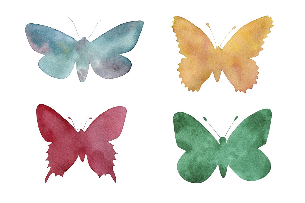 Colorful butterflies.