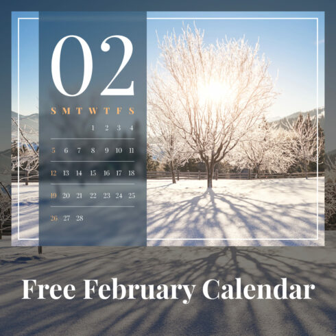 Free Clean February Calendar, main picture 1500x1500.