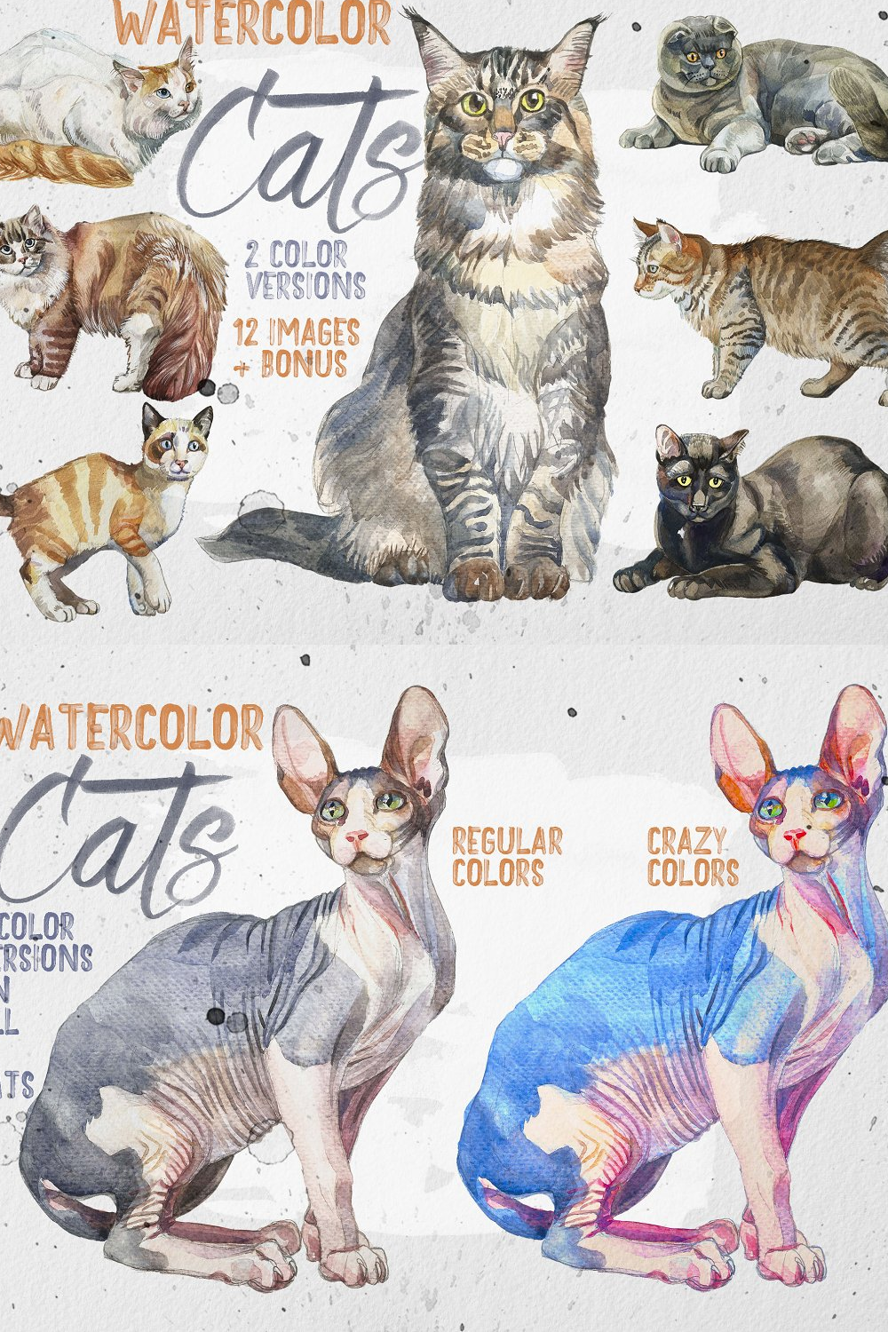 Illustrations beautiful realistic watercolor cats of pinterest.