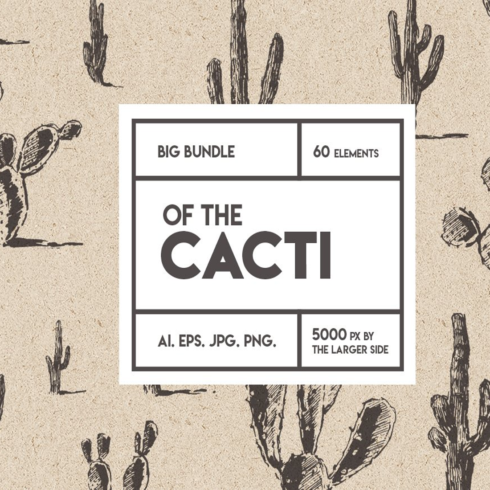 Images preview big cacti bundle sketch style.