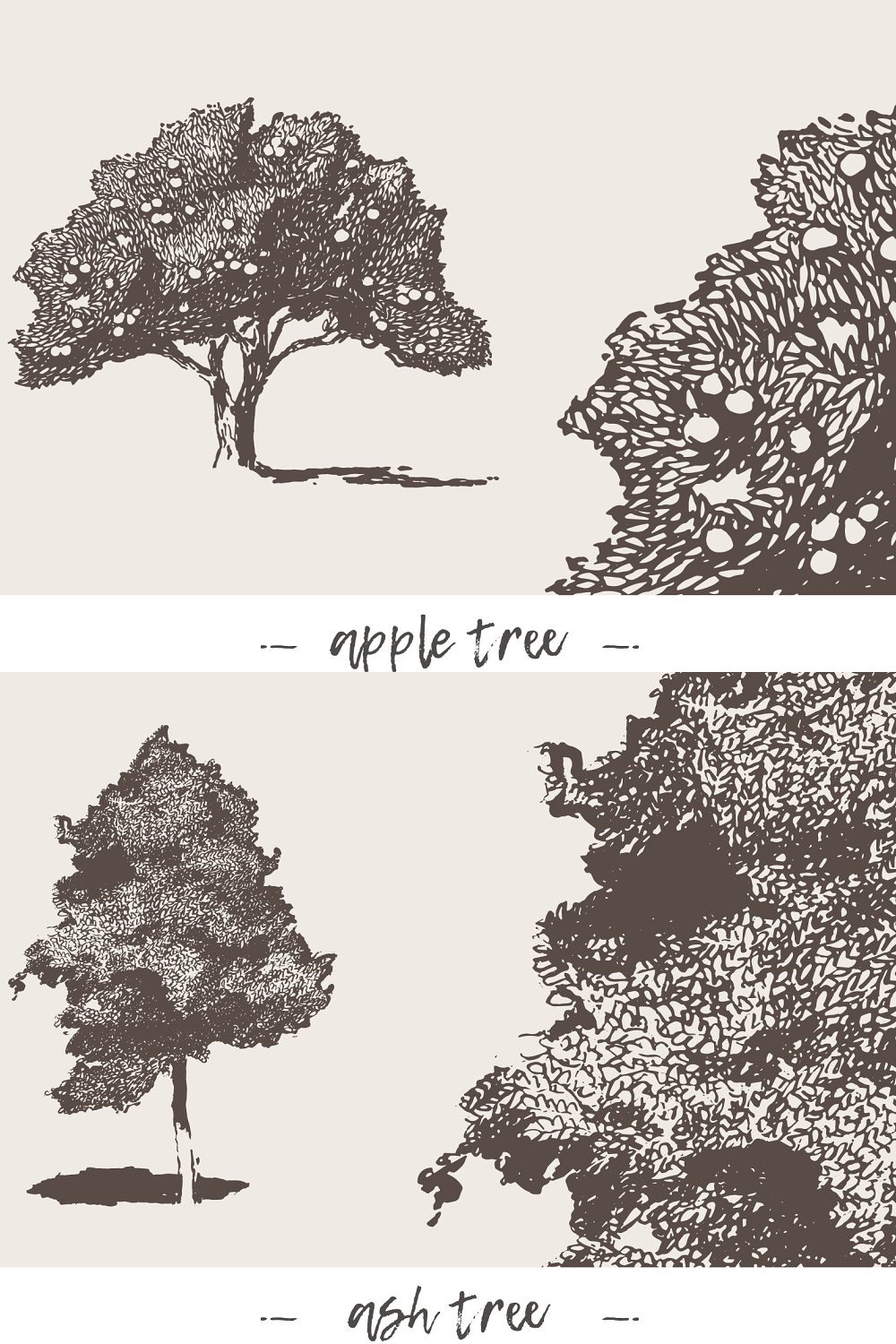 Illustrations big collection of high detail trees of pinterest.