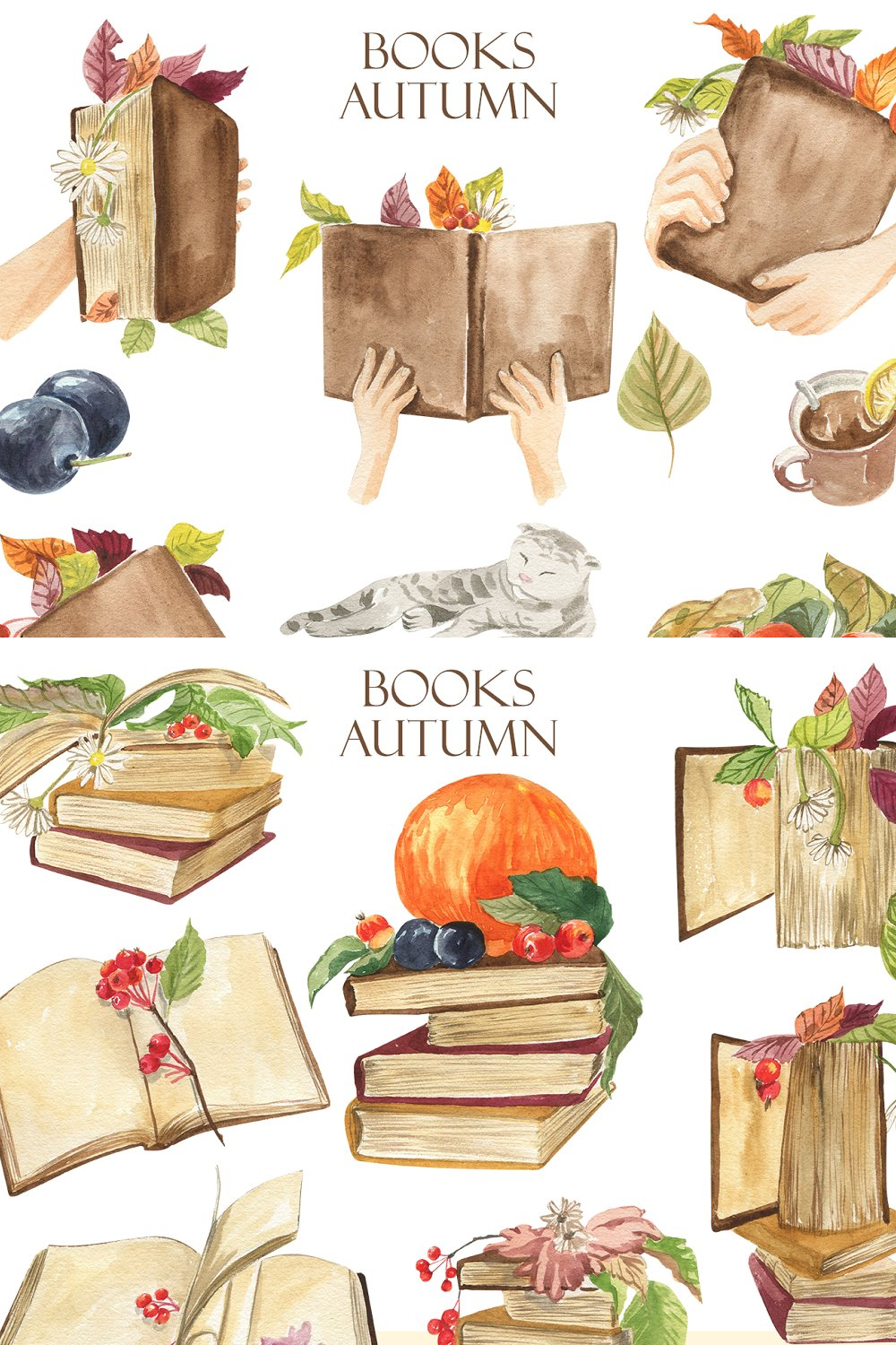 Illustrations books. autumn of pinterest.