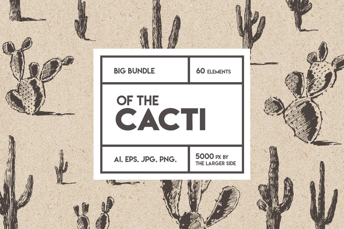 cacti 001 cm 3 878