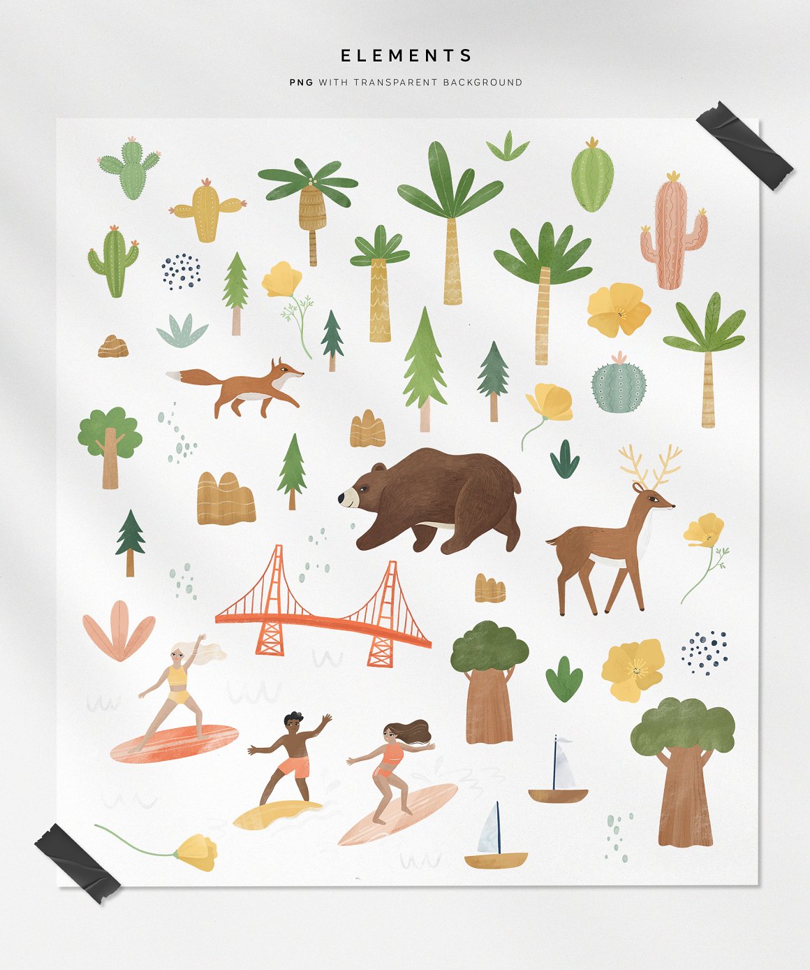 Images of trees and animals for the map.