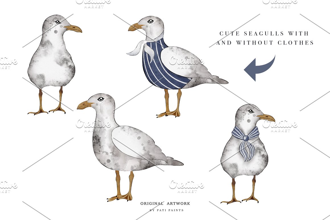 Different images of seagull.