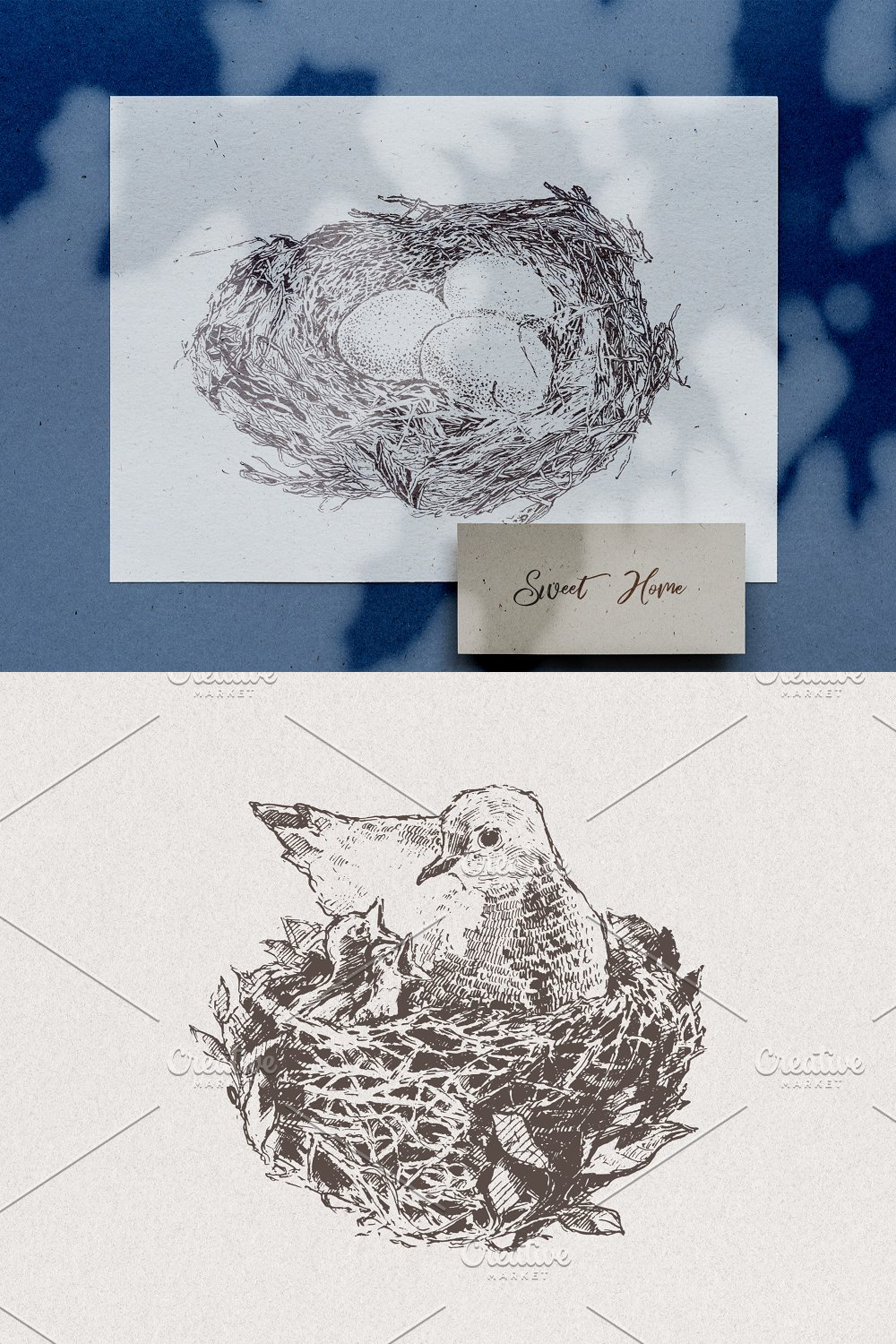 Illustrations collection of birds drawings of pinterest.