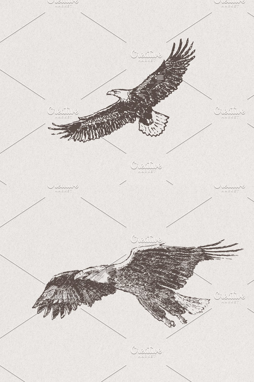 Illustrations collection of eagles drawings of pinterest.