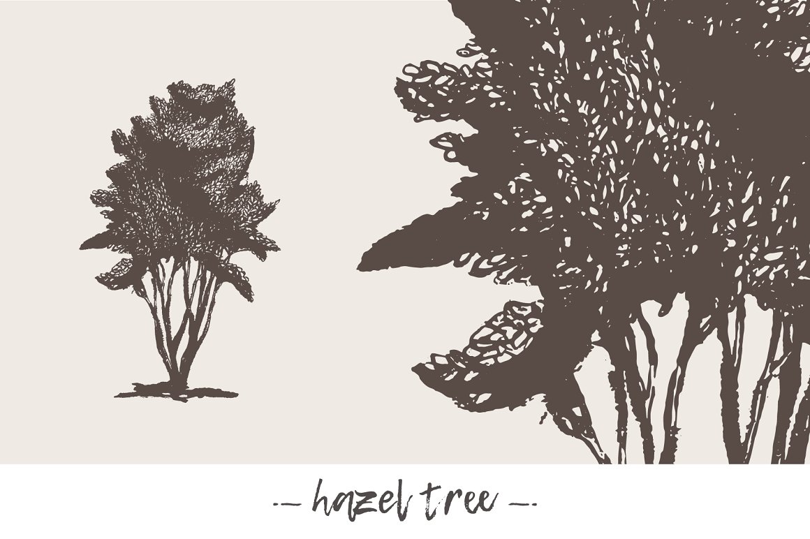 cover hd trees 001 12 887