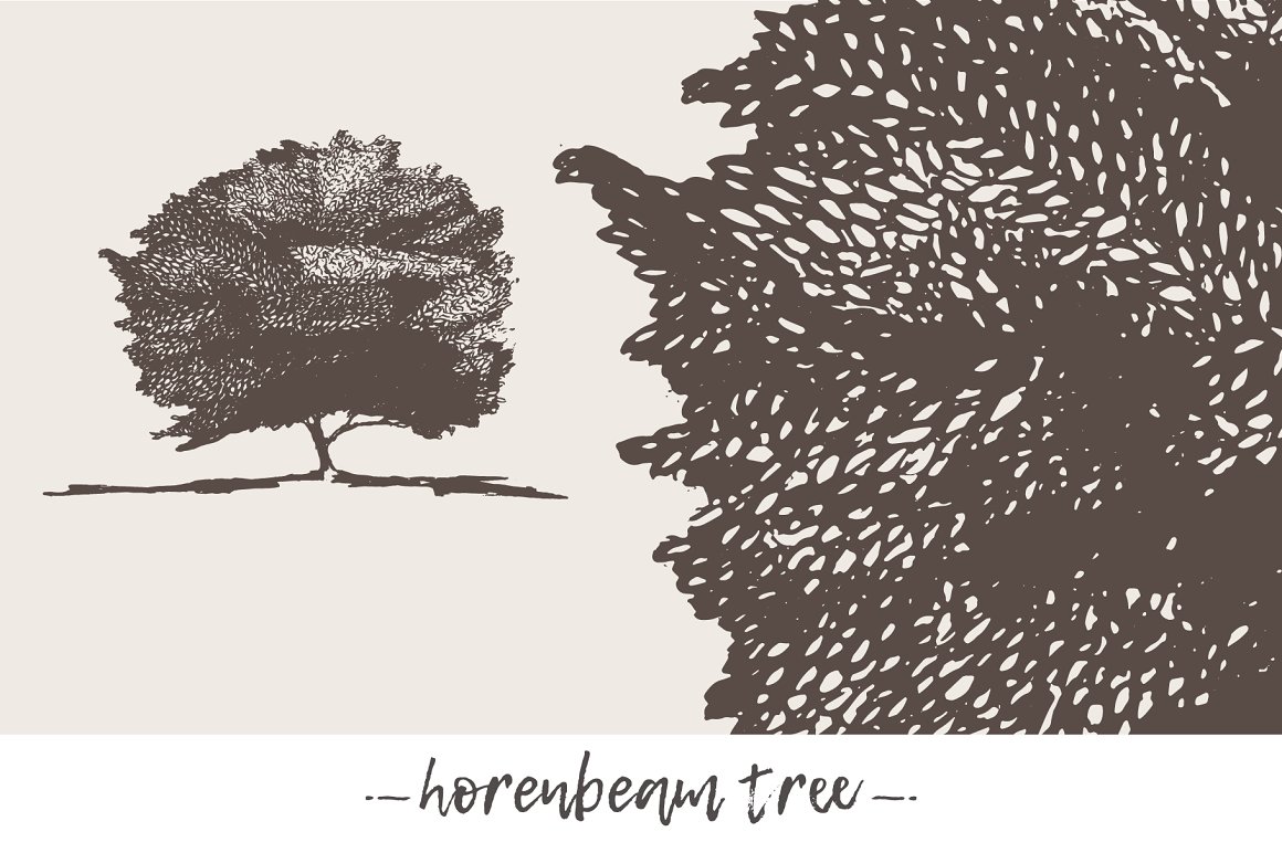 cover hd trees 001 14 481