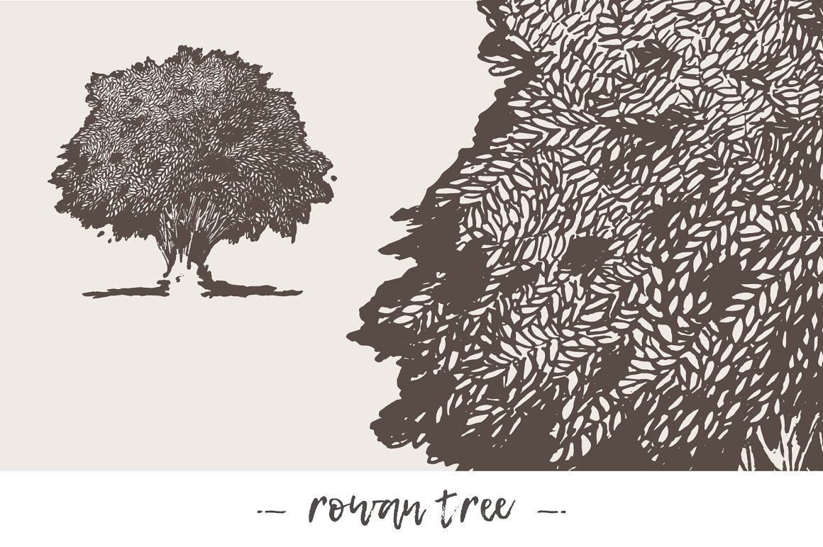 cover hd trees 001 21 994