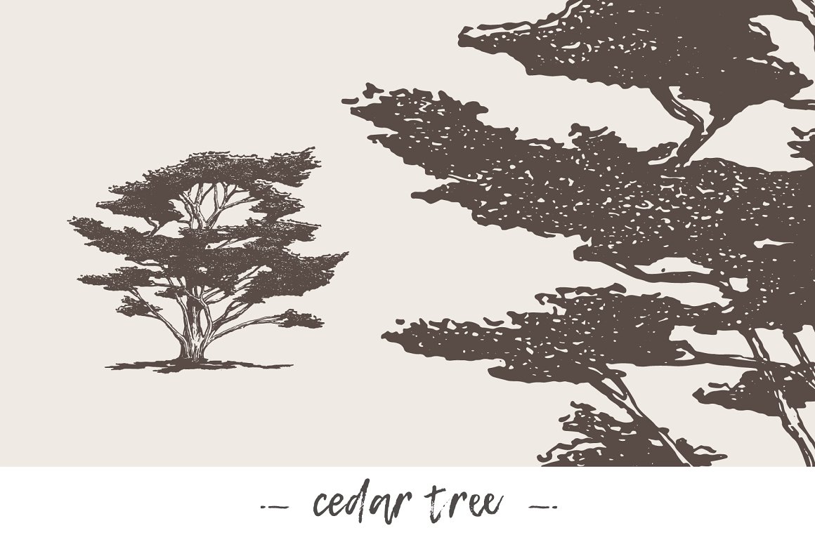 cover hd trees 001 6 552