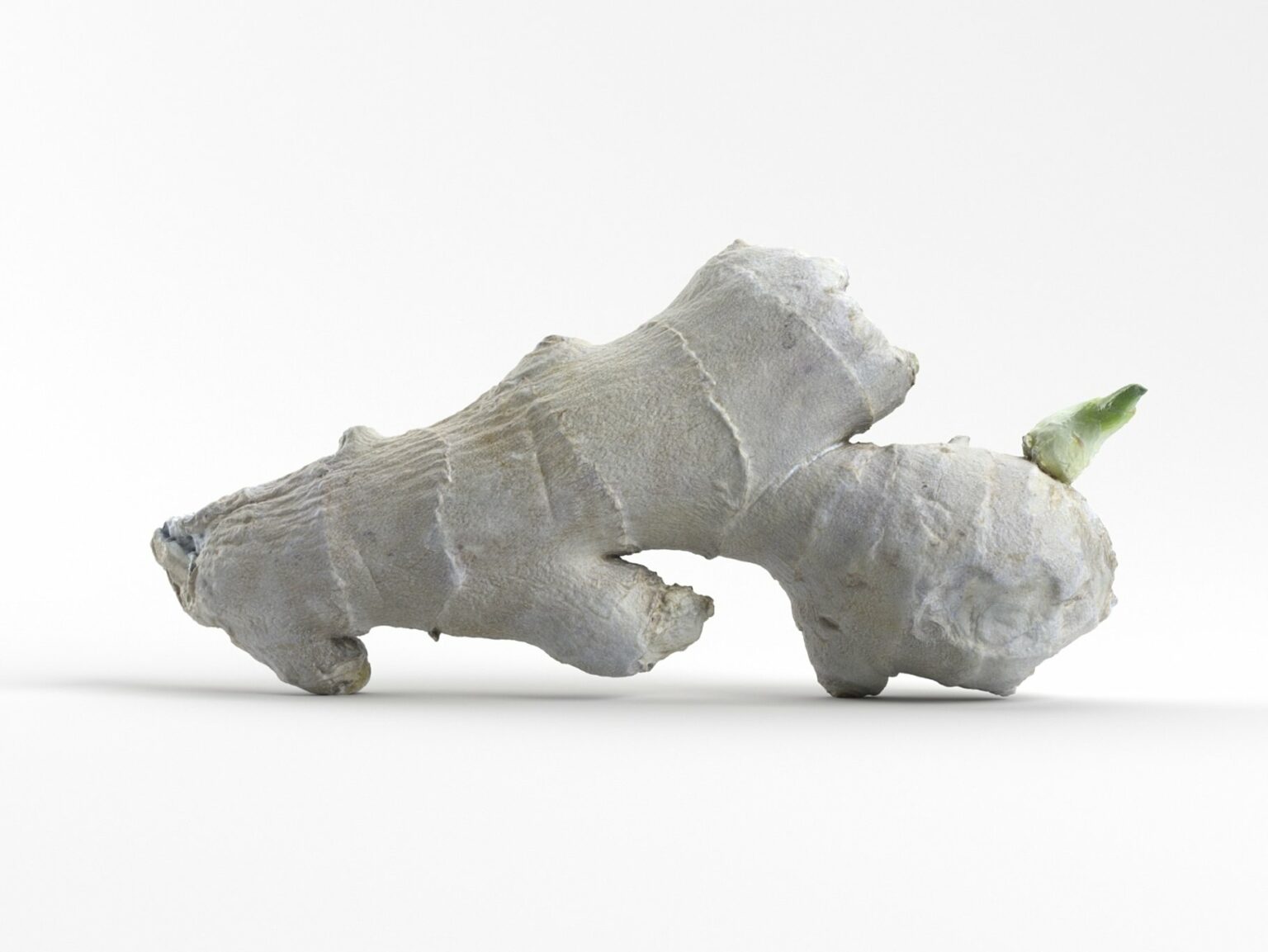 Photorealistic Ginger – MasterBundles