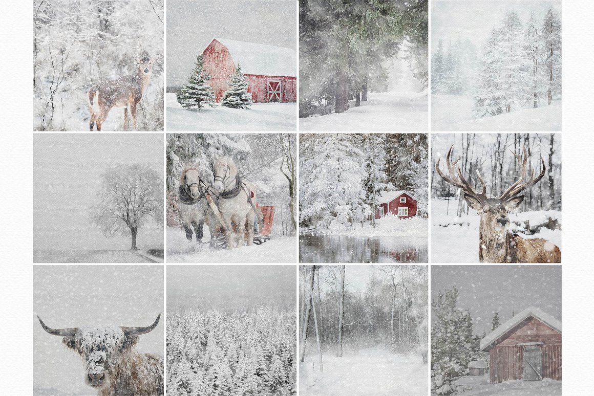 Wonderful images of winter landscapes.