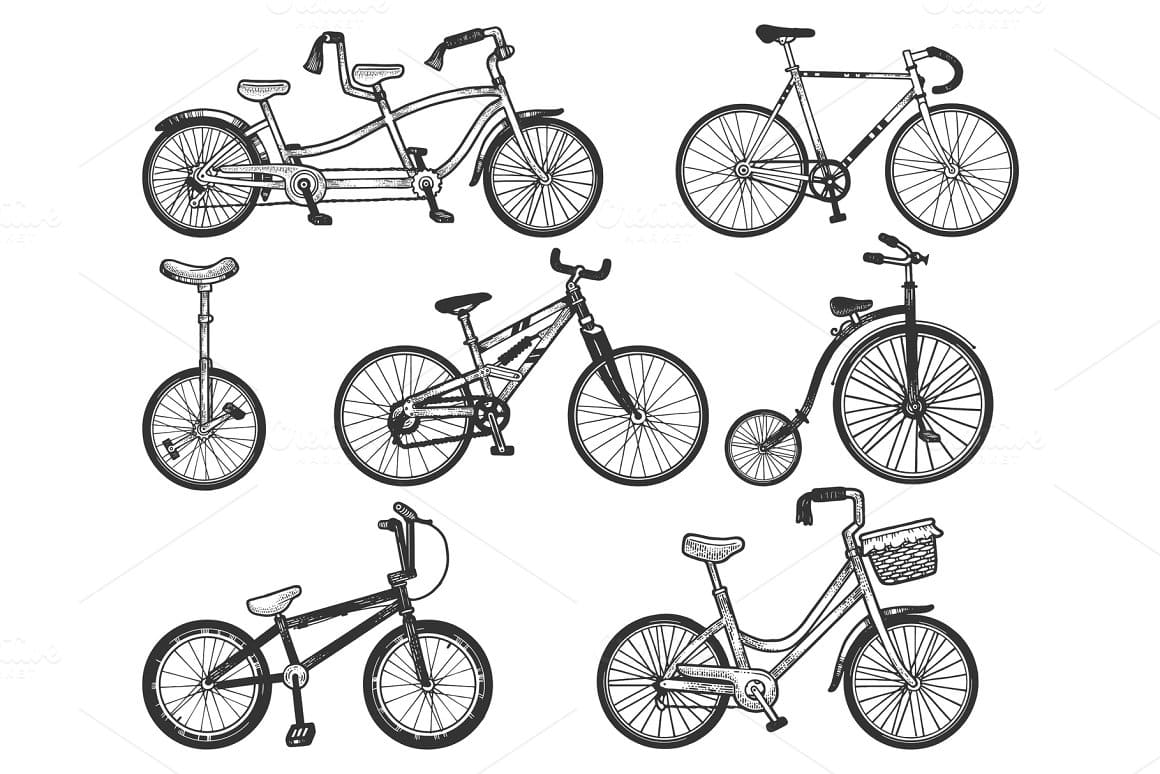 Bicycle set sketch engraving vector.
