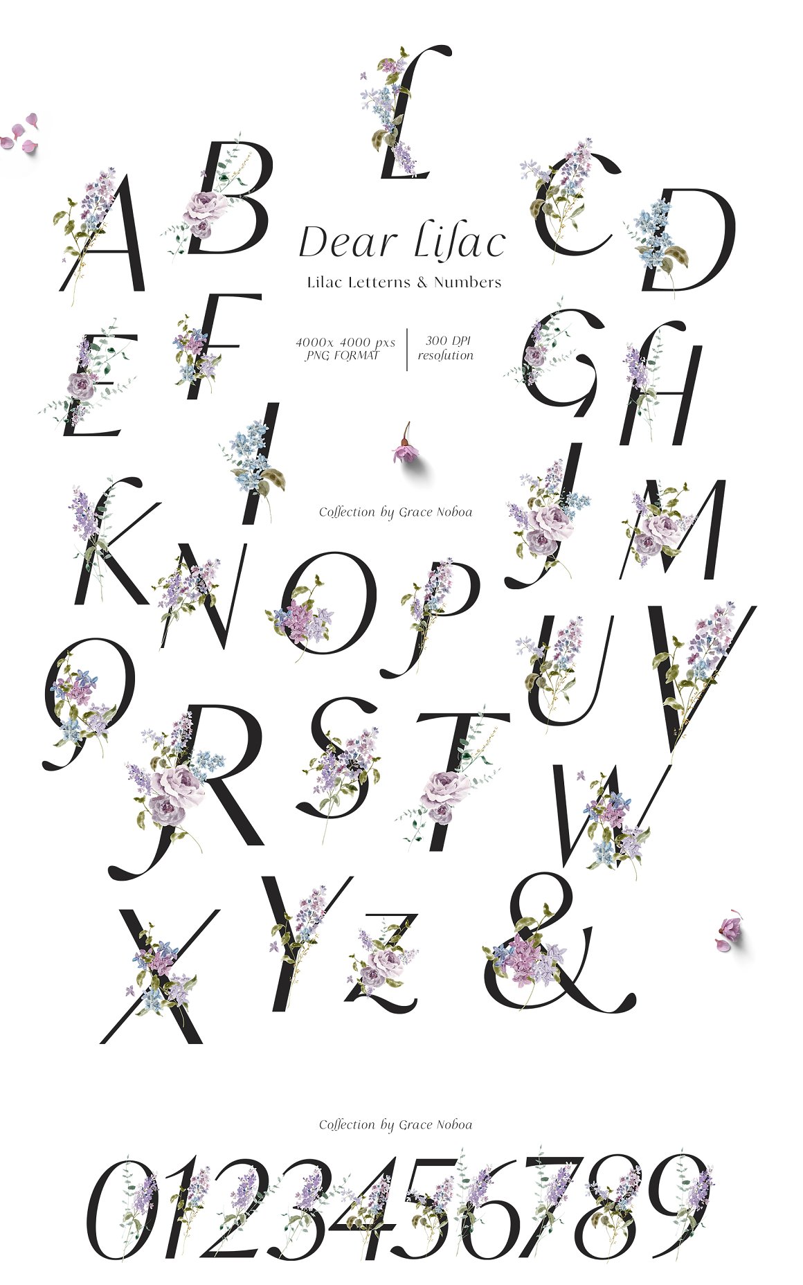 Alphabet with flowers on dark letters.